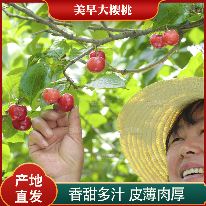 手里拿着新鲜大樱桃