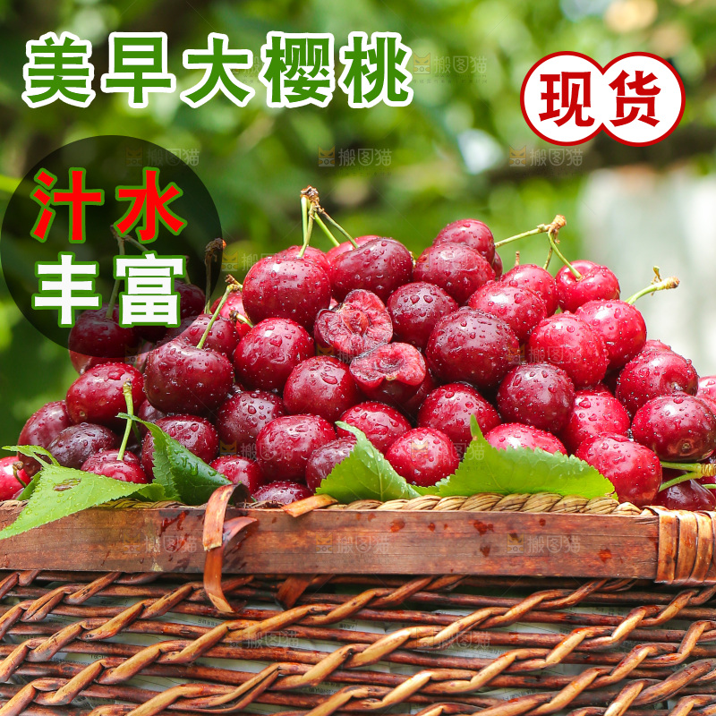 手里拿着新鲜大樱桃