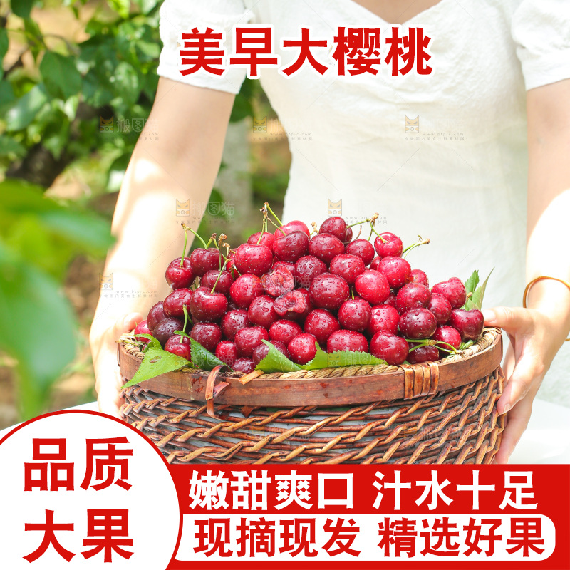 手里拿着新鲜大樱桃