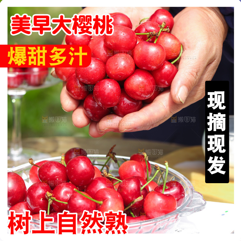 手里拿着新鲜大樱桃