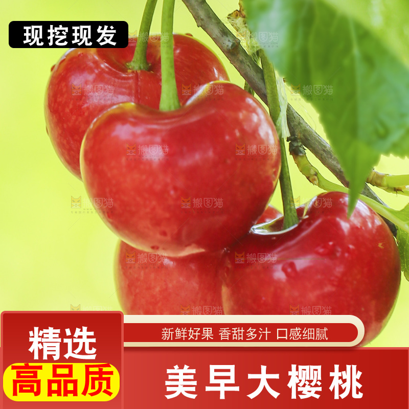 手里拿着新鲜大樱桃