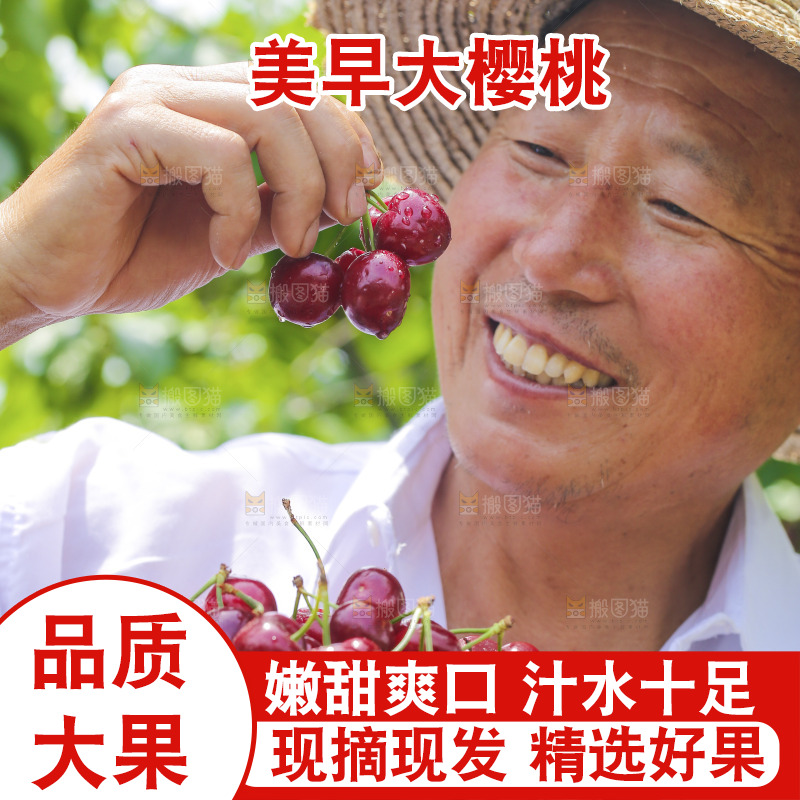 手里拿着新鲜大樱桃