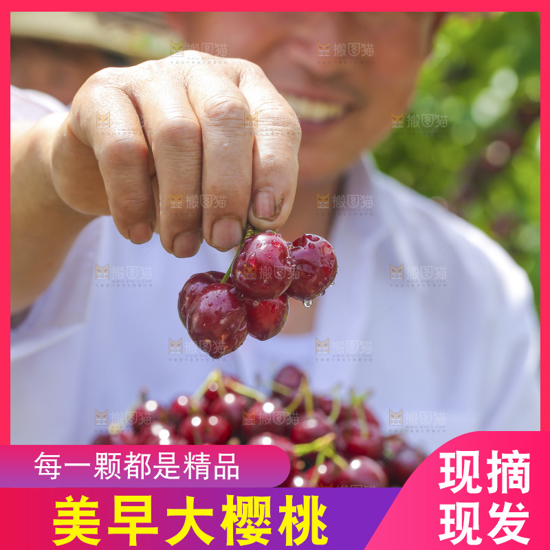 手里拿着新鲜大樱桃