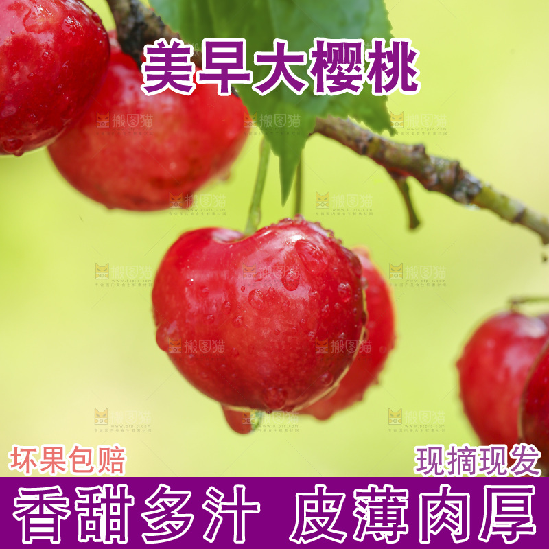 手里拿着新鲜大樱桃