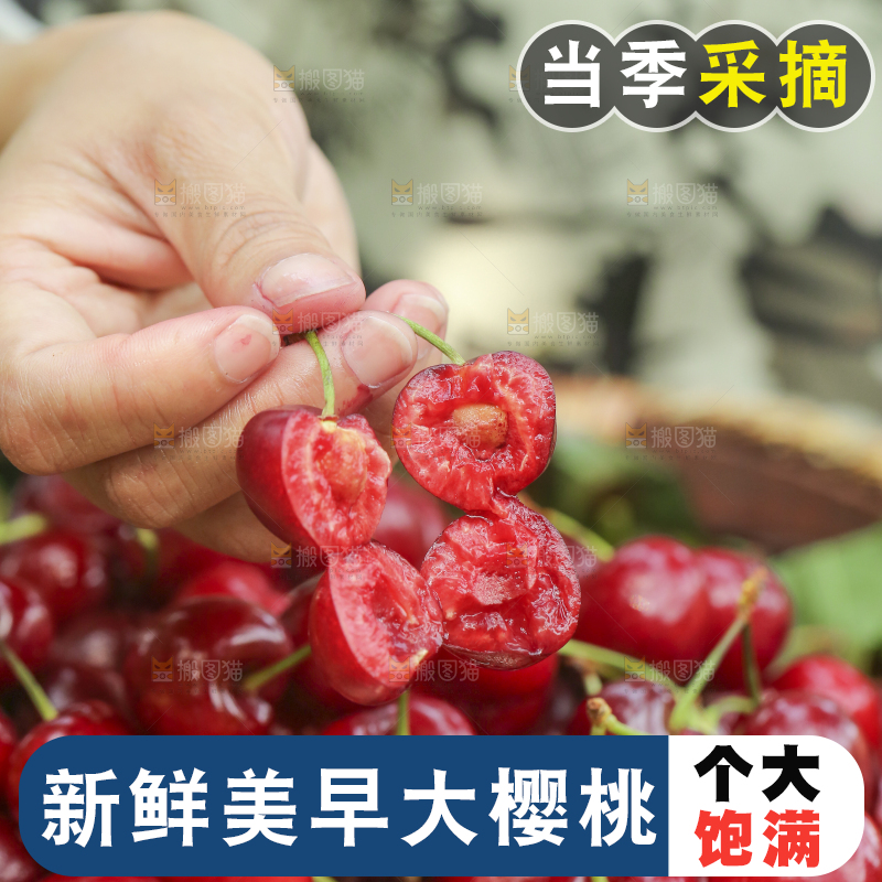 手里拿着新鲜大樱桃