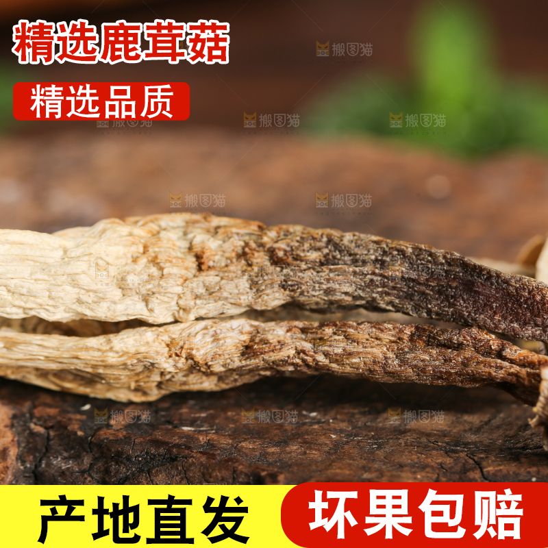 深底上的鹿茸菇