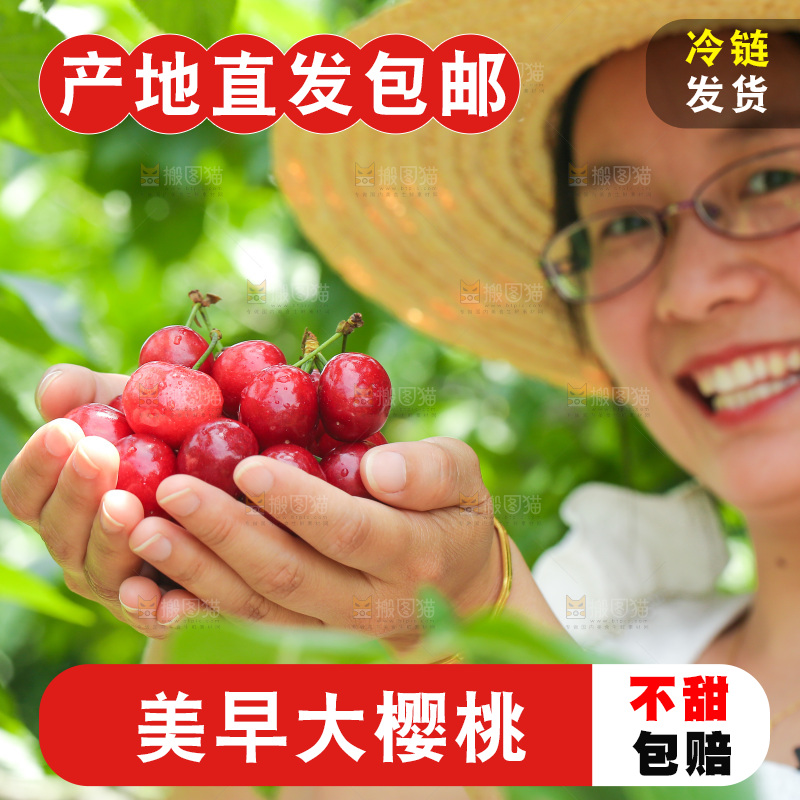 手里拿着新鲜大樱桃