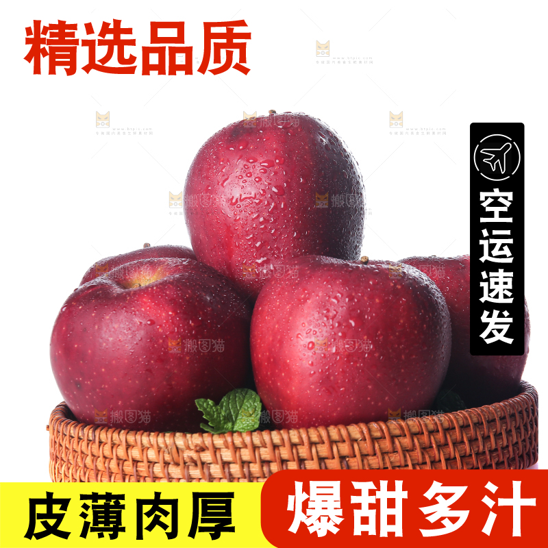 白底上的圣诞果