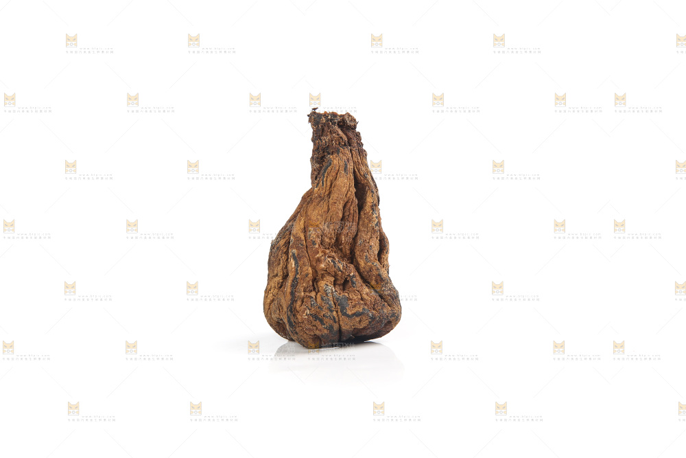 白底上的风干芥肉