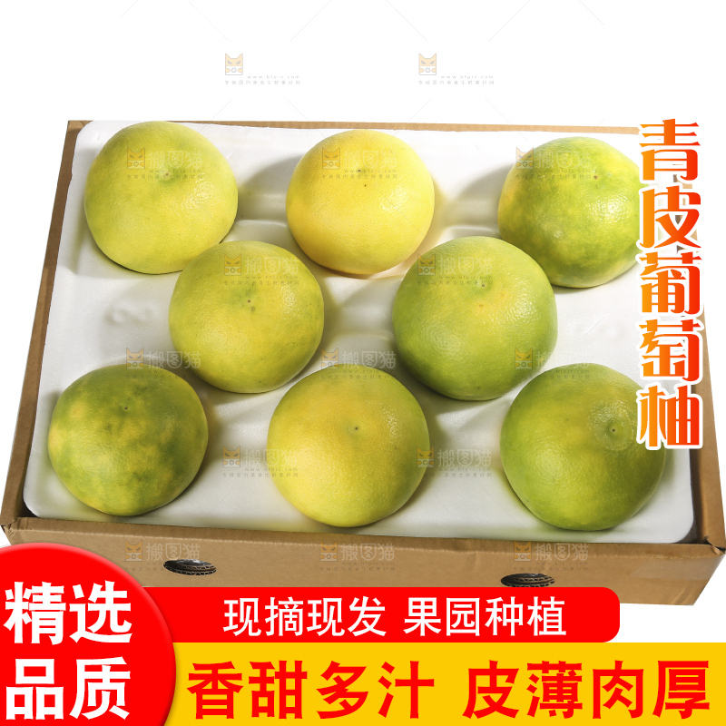 白底上的青皮葡萄柚