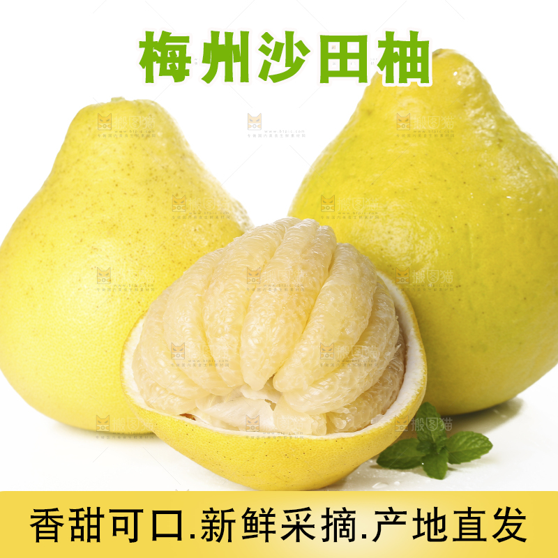 白底上的沙田柚