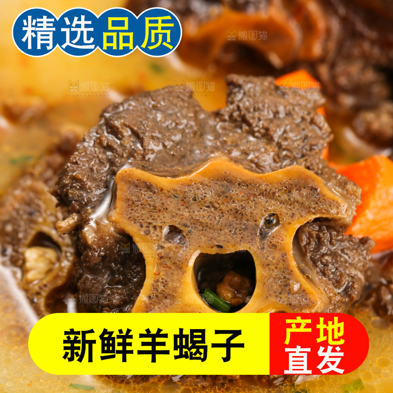 浅底上的羊蝎子