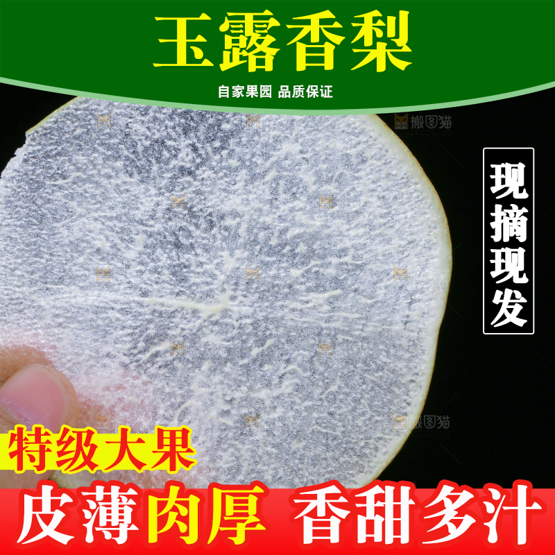 深底上的玉露香梨