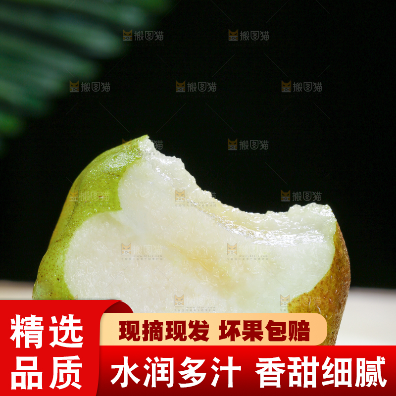 深底上的玉露香梨