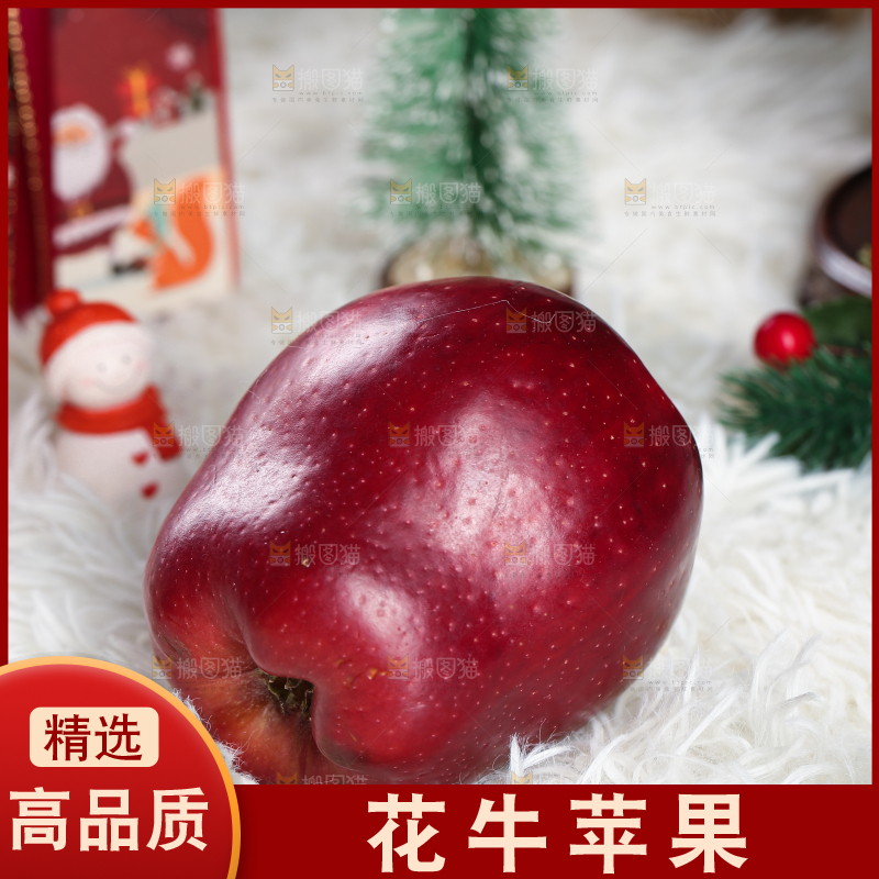 浅底上的圣诞果