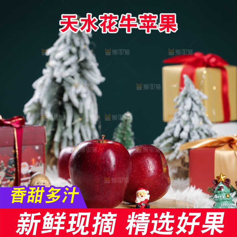 浅底上的圣诞果