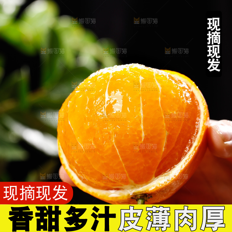 深底上的爱媛果冻橙