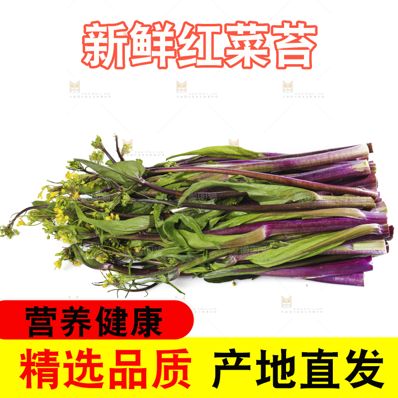 白底上的红菜苔