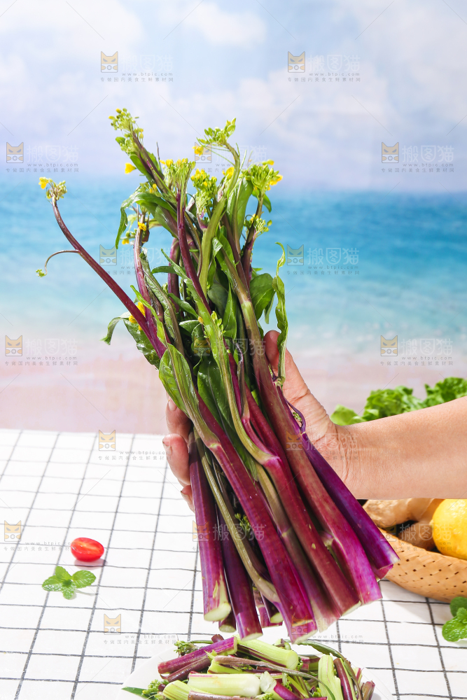 浅底上的红菜苔