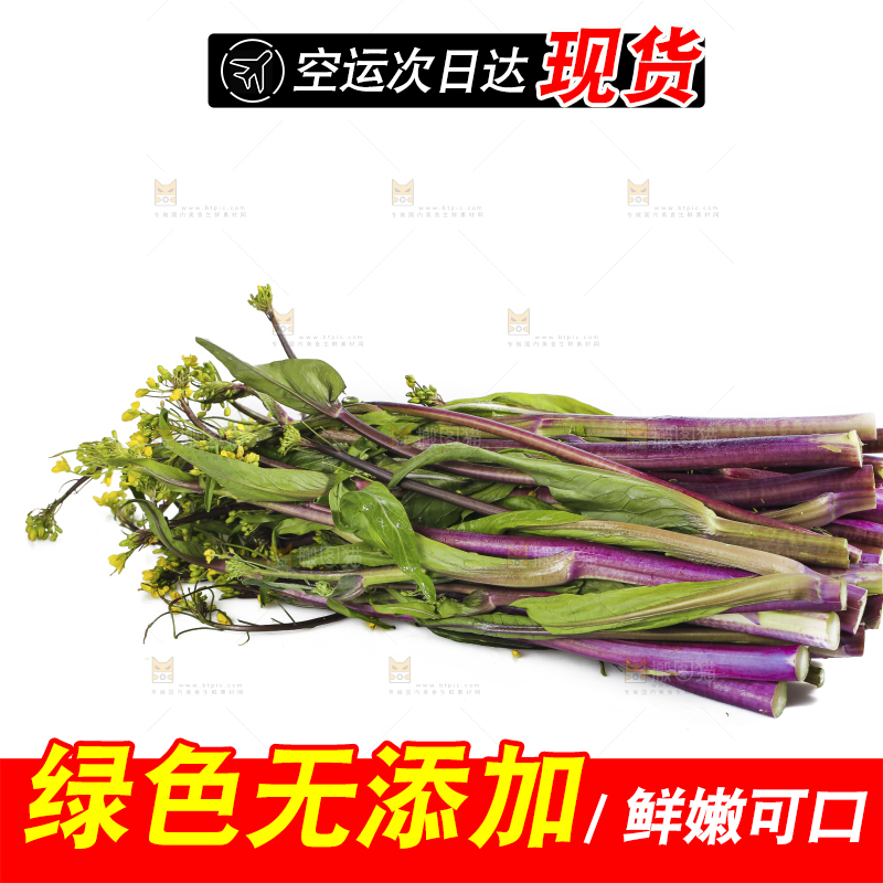 白底上的红菜苔