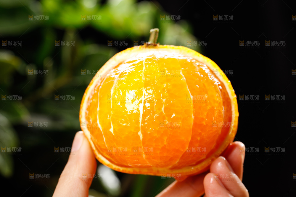 深底上的爱媛果冻橙