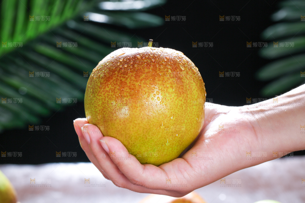 深底上的玉露香梨