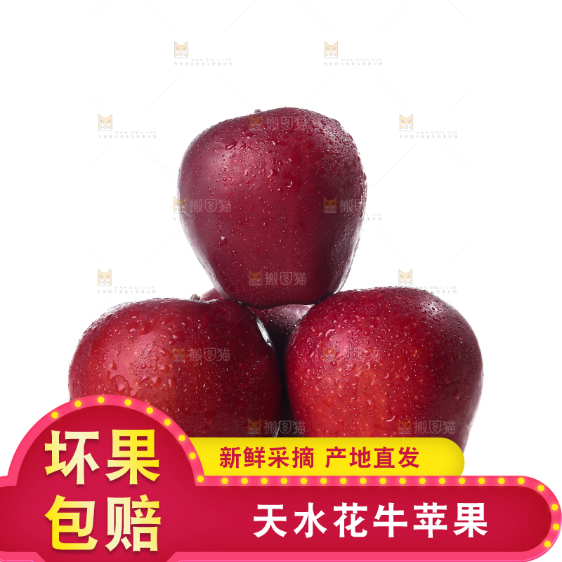 白底上的圣诞果