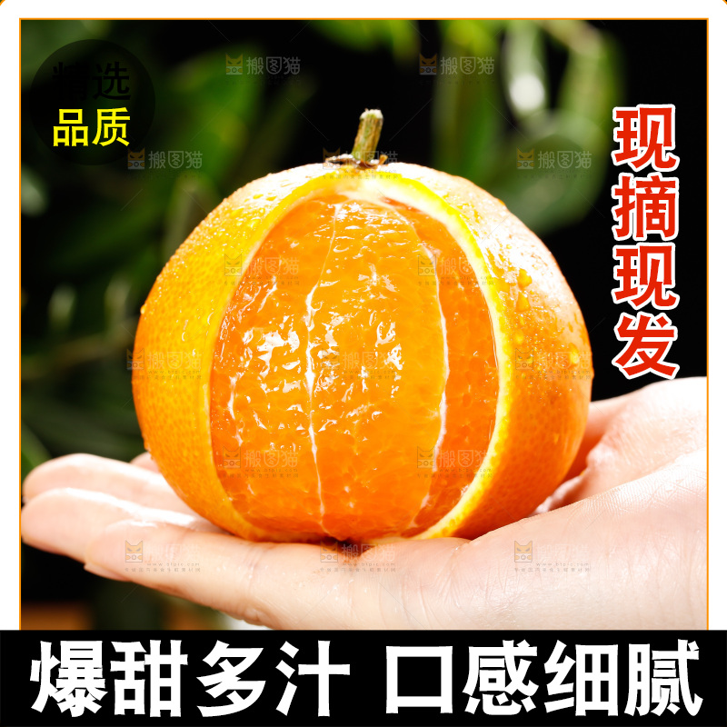 深底上的爱媛果冻橙