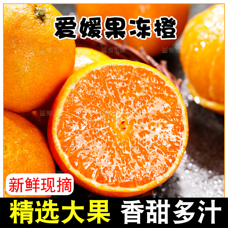 深底上的爱媛果冻橙