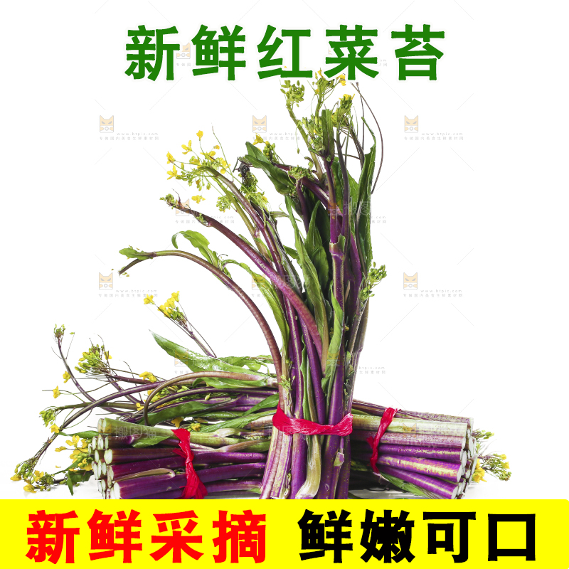 白底上的红菜苔