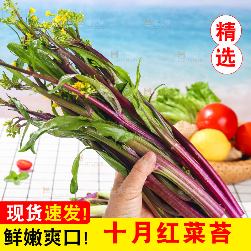 浅底上的红菜苔