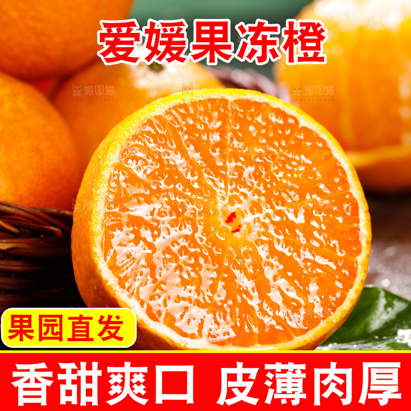 深底上的爱媛果冻橙