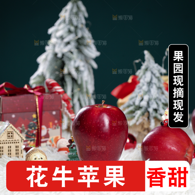 浅底上的圣诞果