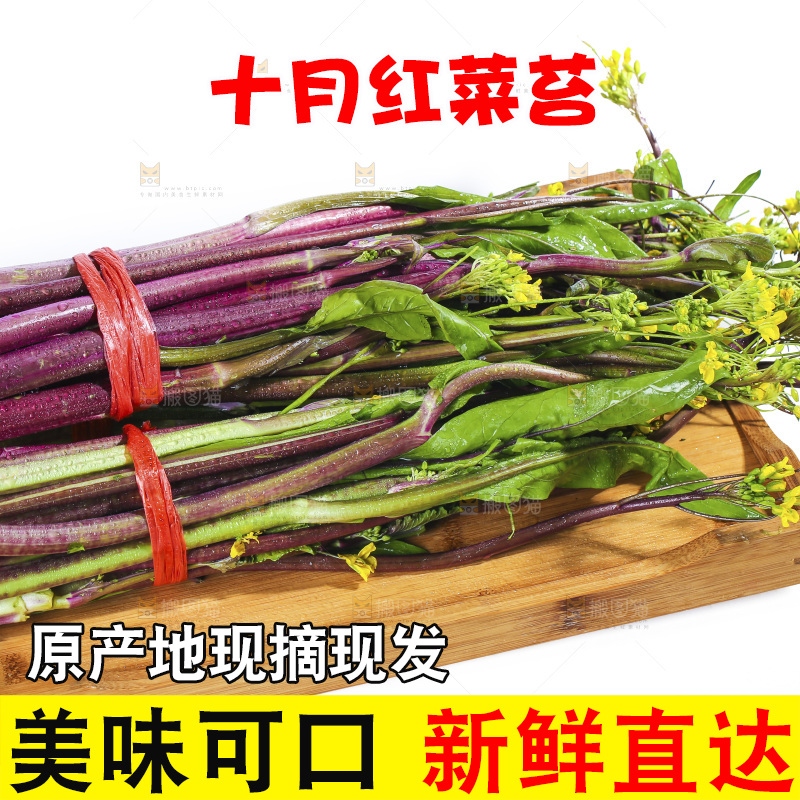 白底上的红菜苔
