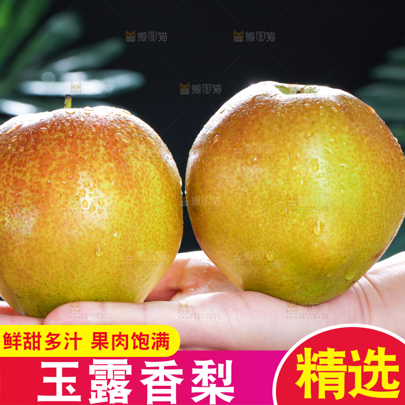 深底上的玉露香梨