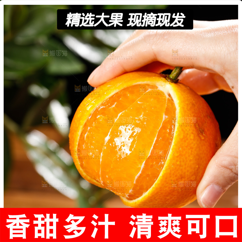 深底上的爱媛果冻橙