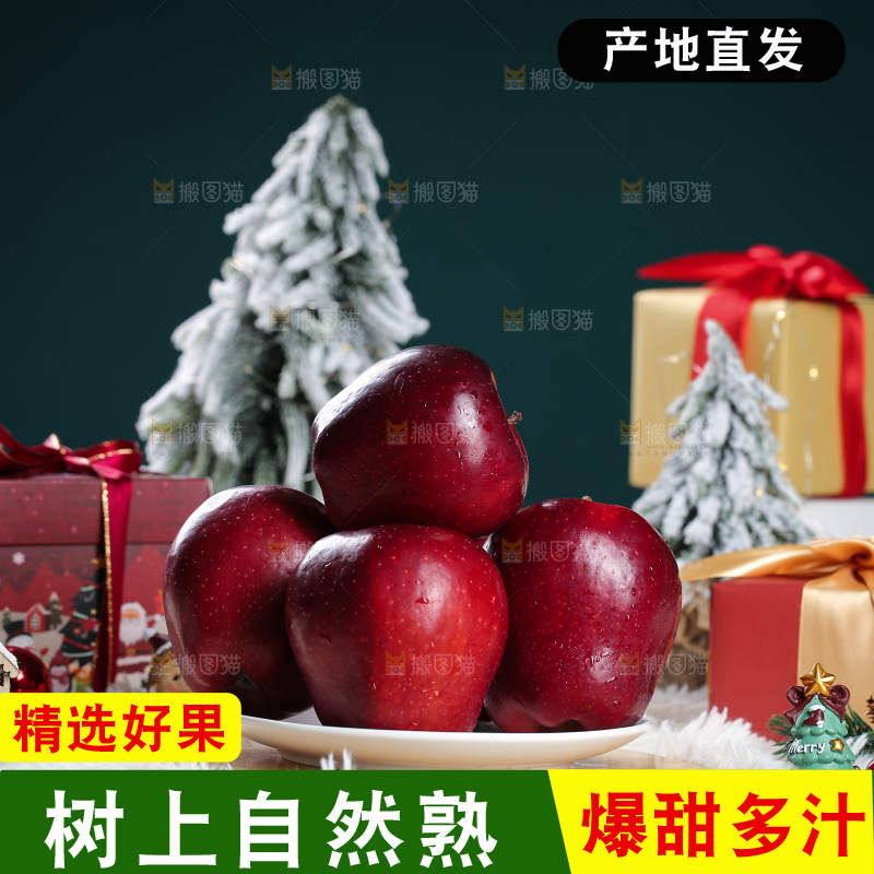 浅底上的圣诞果