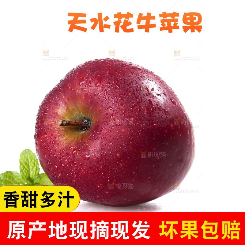 白底上的圣诞果