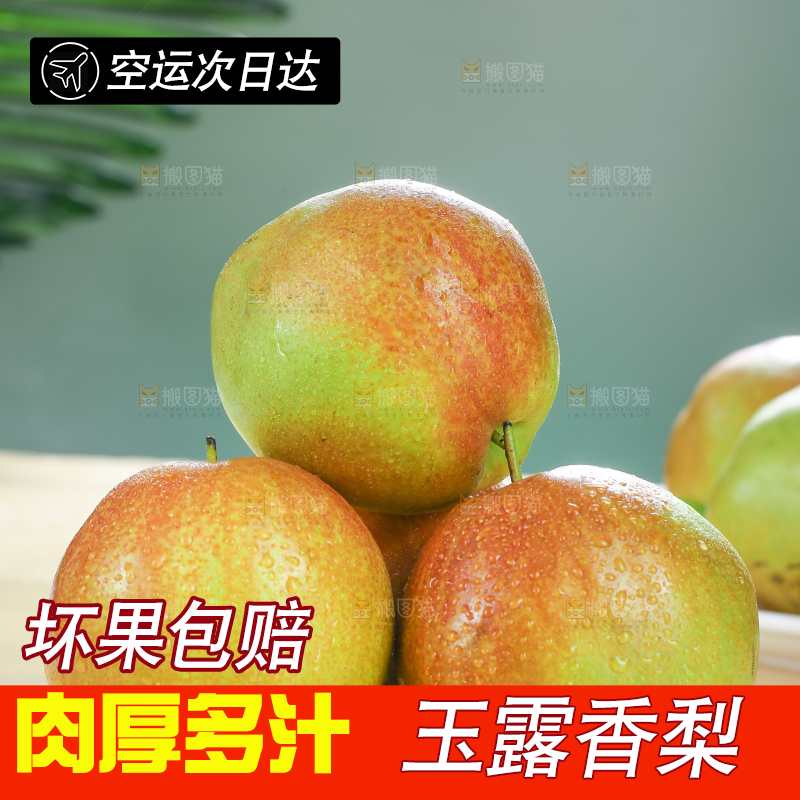 深底上的玉露香梨
