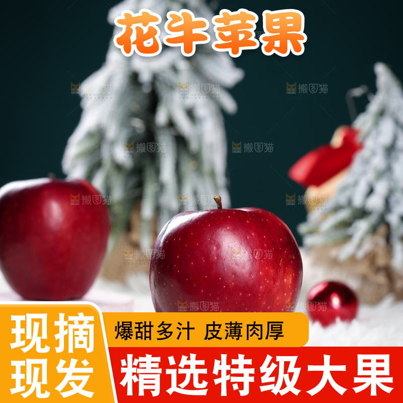 浅底上的圣诞果