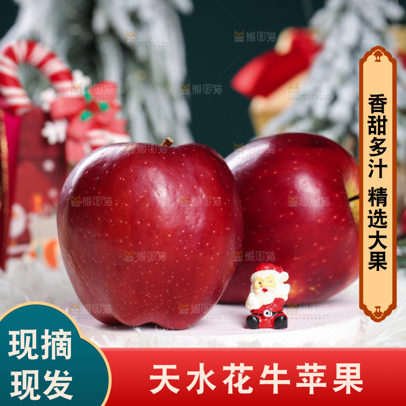 浅底上的圣诞果