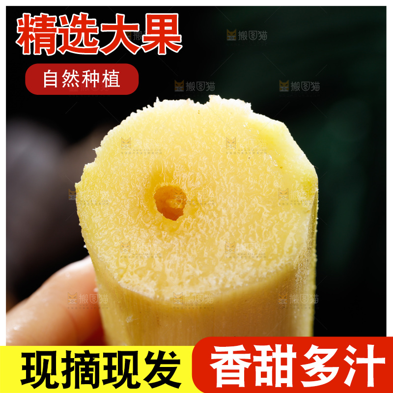 深底上的黑皮甘蔗