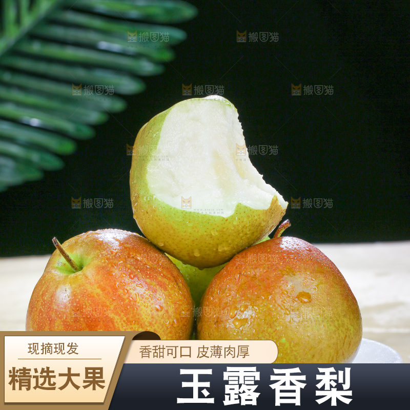 深底上的玉露香梨