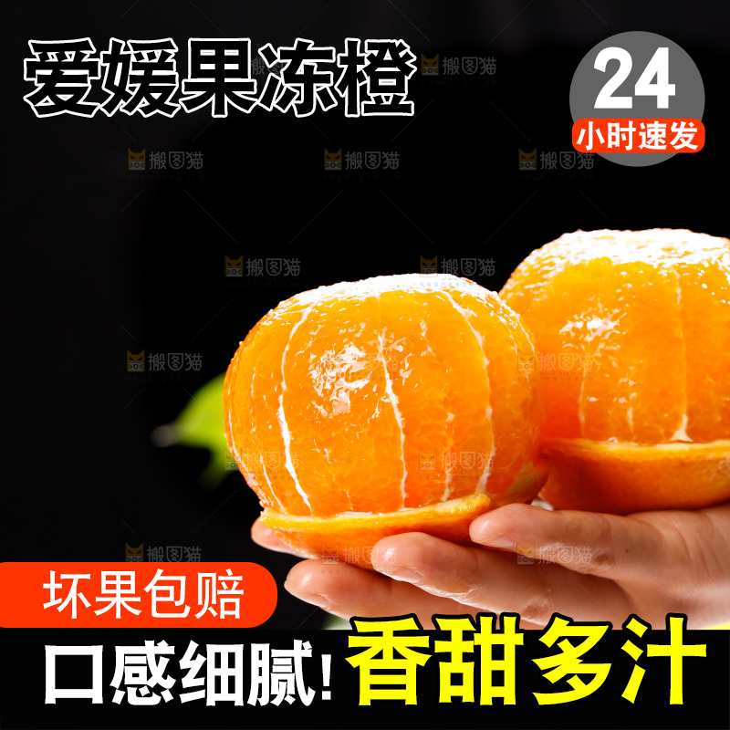 浅底上的爱媛果冻橙