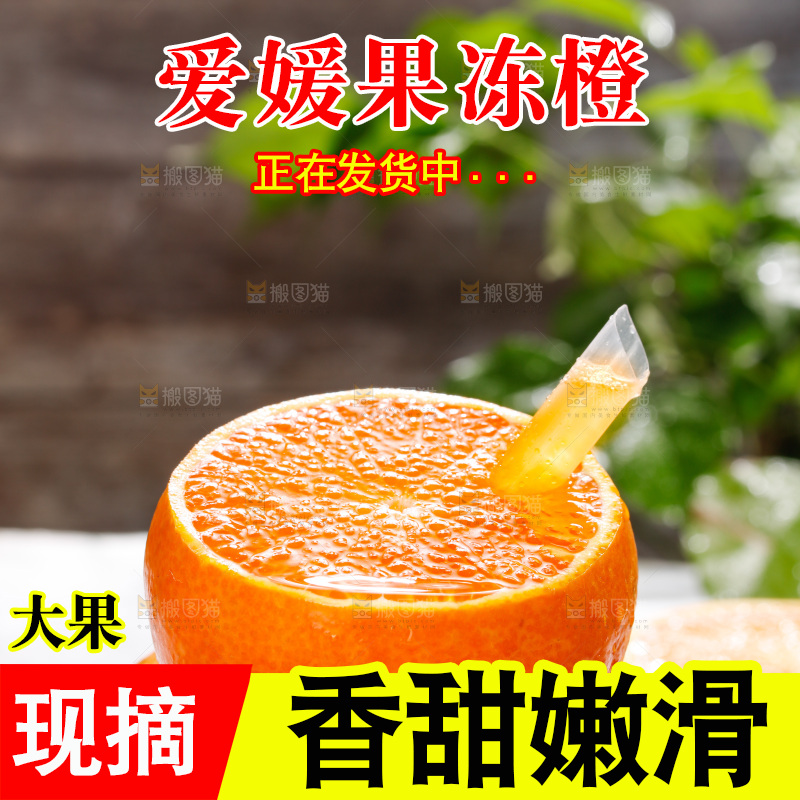 深底上的爱媛果冻橙
