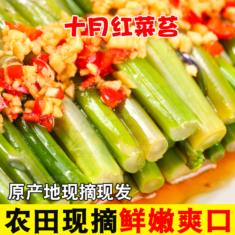 深底上的炒红菜苔