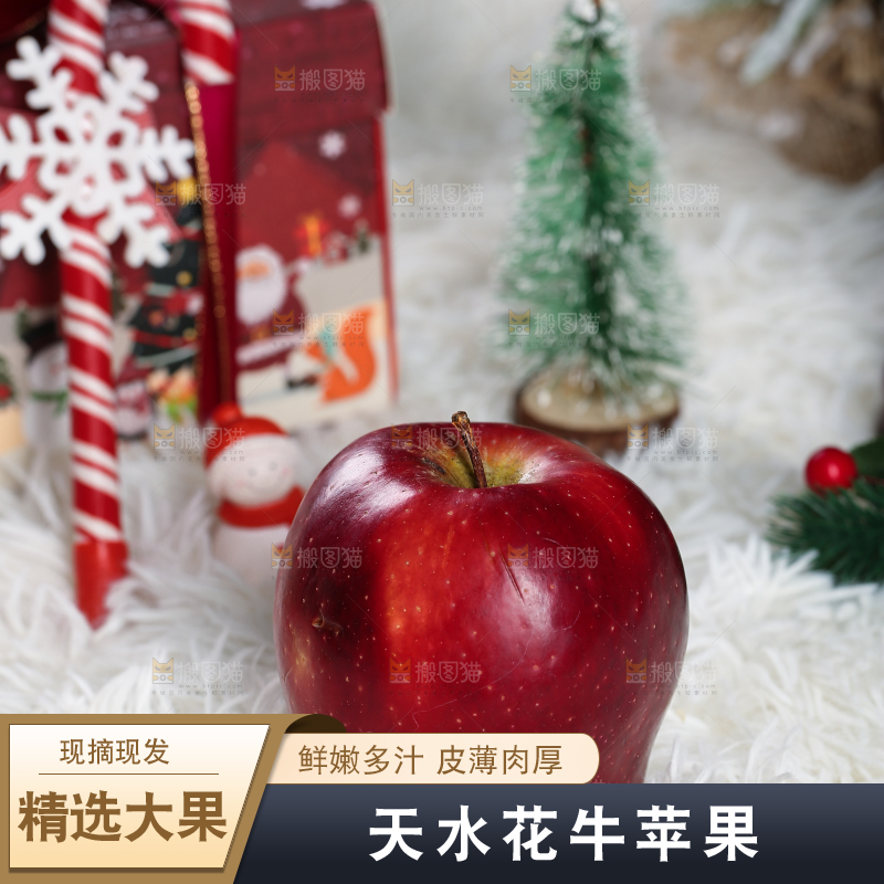 浅底上的圣诞果