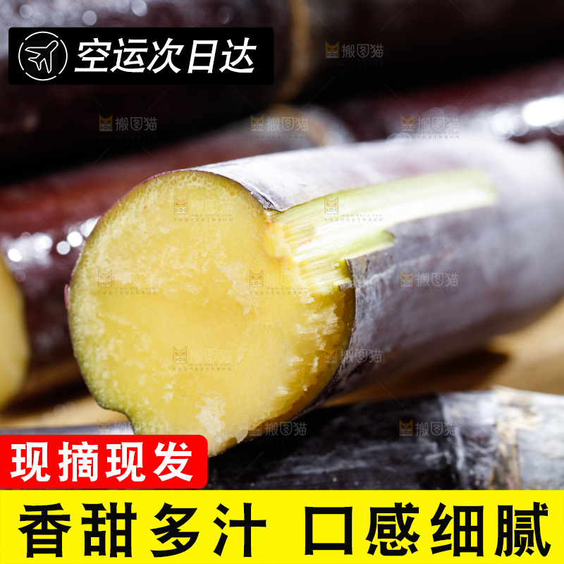 深底上的黑皮甘蔗