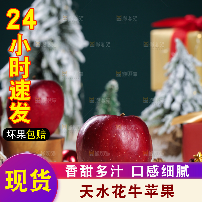 浅底上的圣诞果