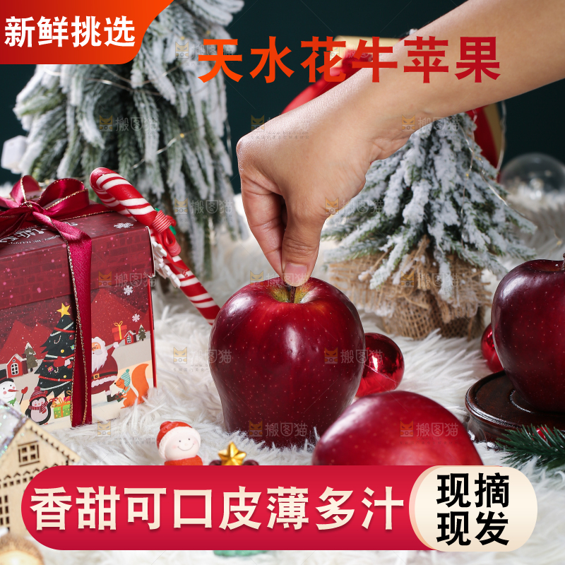 浅底上的圣诞果
